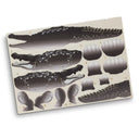 Crocodile Wooden Model