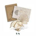 Fantail Wooden Model