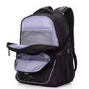 High Sierra Access 4.0 Backpack 43L